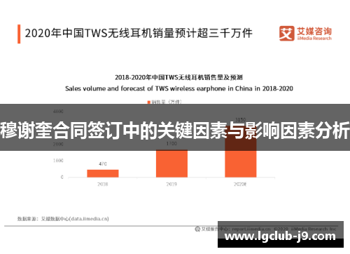 穆谢奎合同签订中的关键因素与影响因素分析